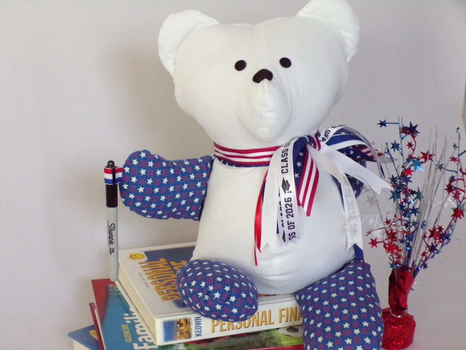Patriotic Autograph Bear