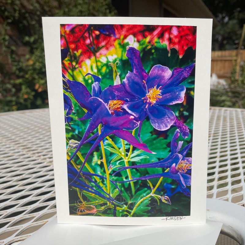 Colorado Columbine Greeting Card