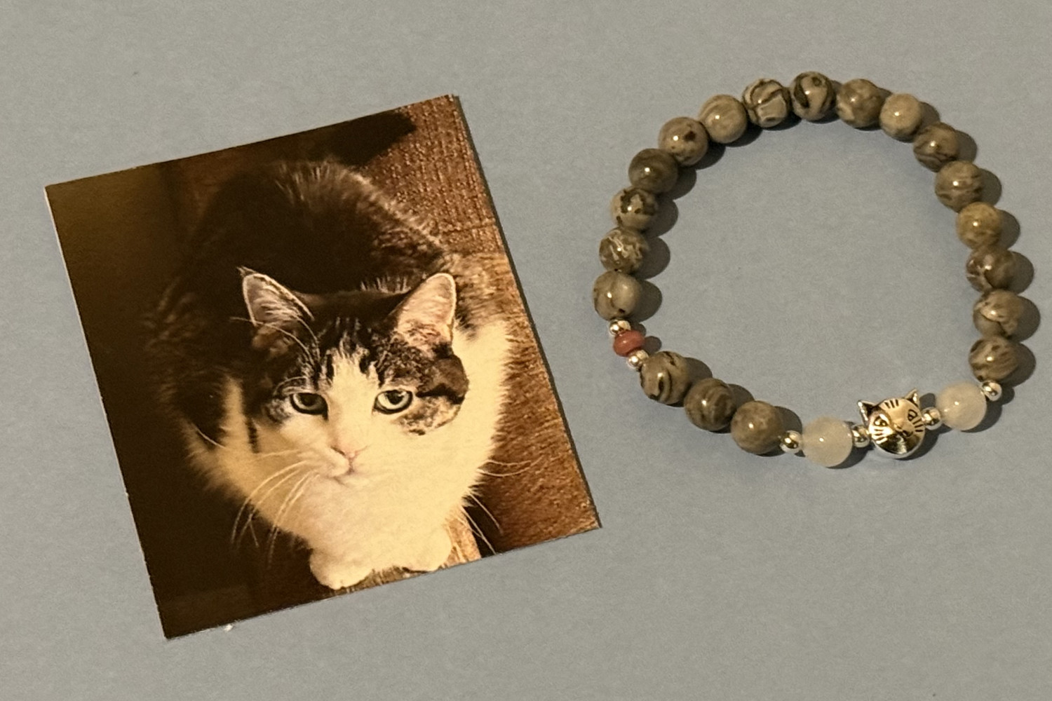 The "Maxie": Grey and White Cat 6mm gemstone bracelet