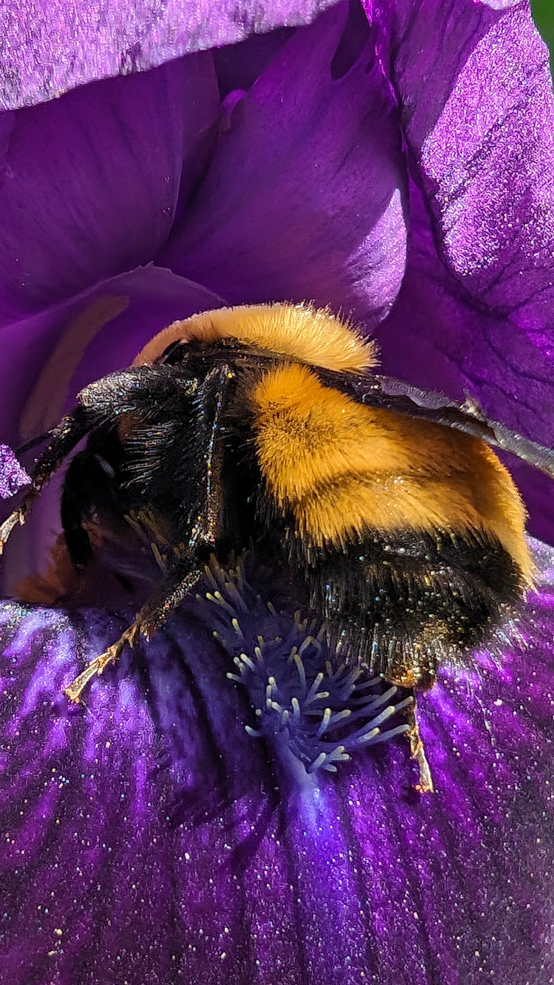 Kaleidoscope/Geometric Patterns 06 phone wallpaper