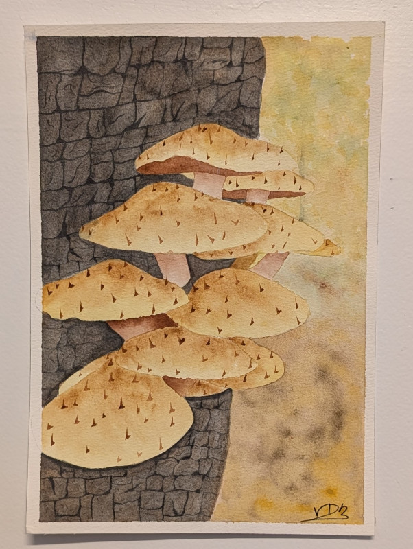 "While Hiking" Watercolor Painting