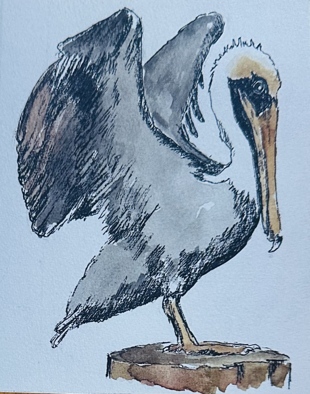 Pelican Before Flight Card