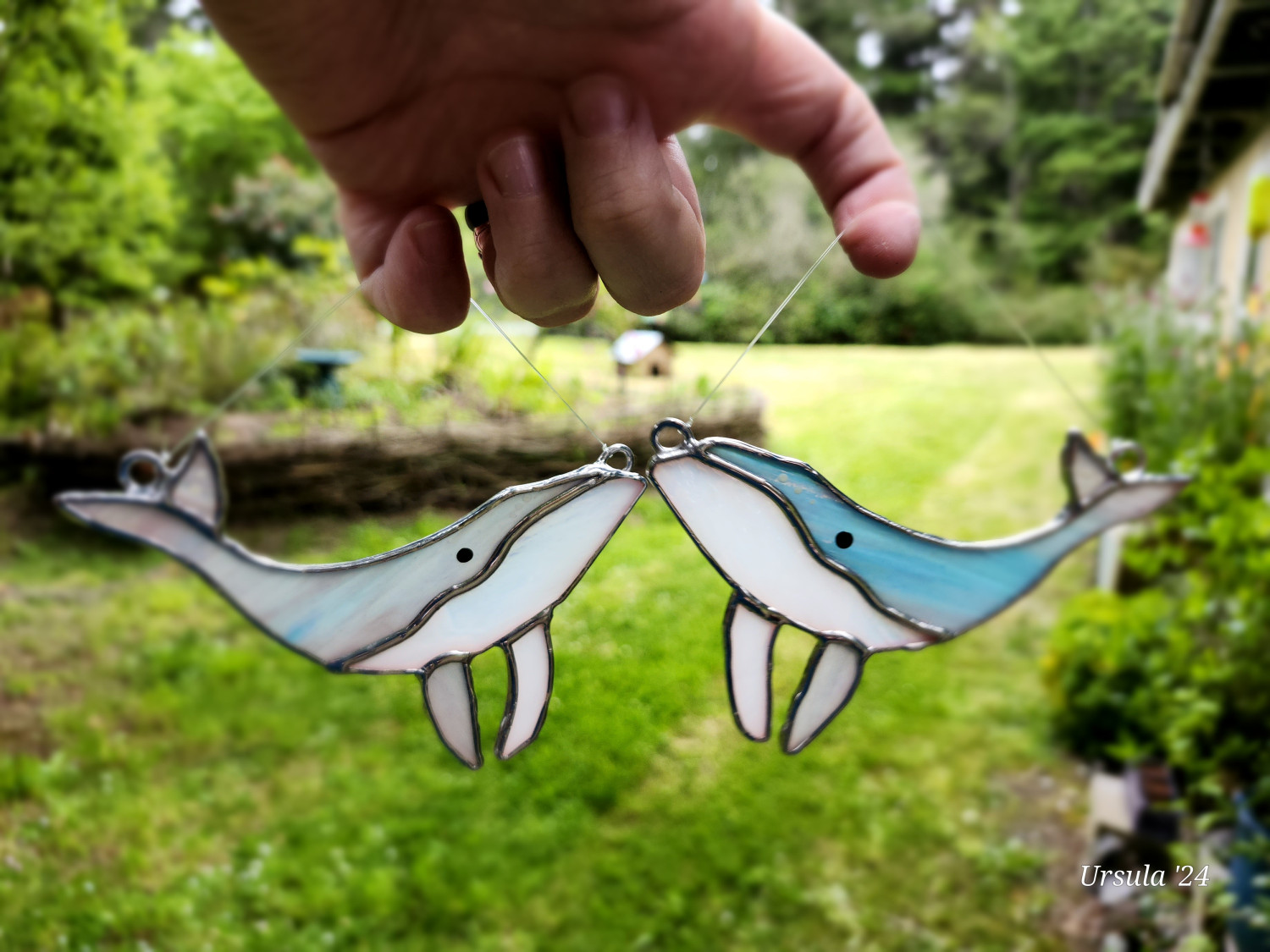 Stained Glass Humpback whale sun catcher