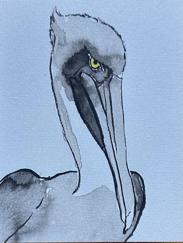 Grumpy Pelican Card