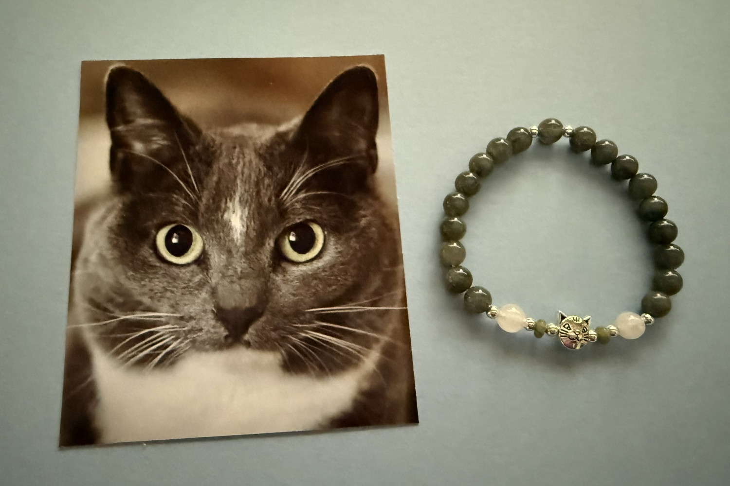 Gray Tuxedo Cat 6mm gemstone bracelet