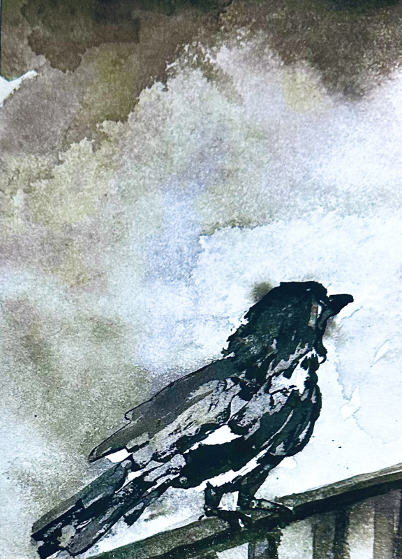 Raven in the storm Card