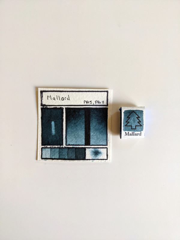 Mallard | Handmade Watercolors | Vegan