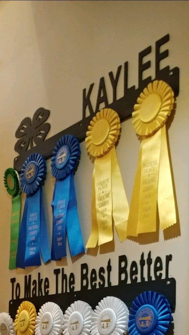 Ribbon Display, Award Ribbon Holder, Medals Awards Rack, Customizable Ribbon Holder, Medal Display, Awards Display, Ribbon Medals Hanger
