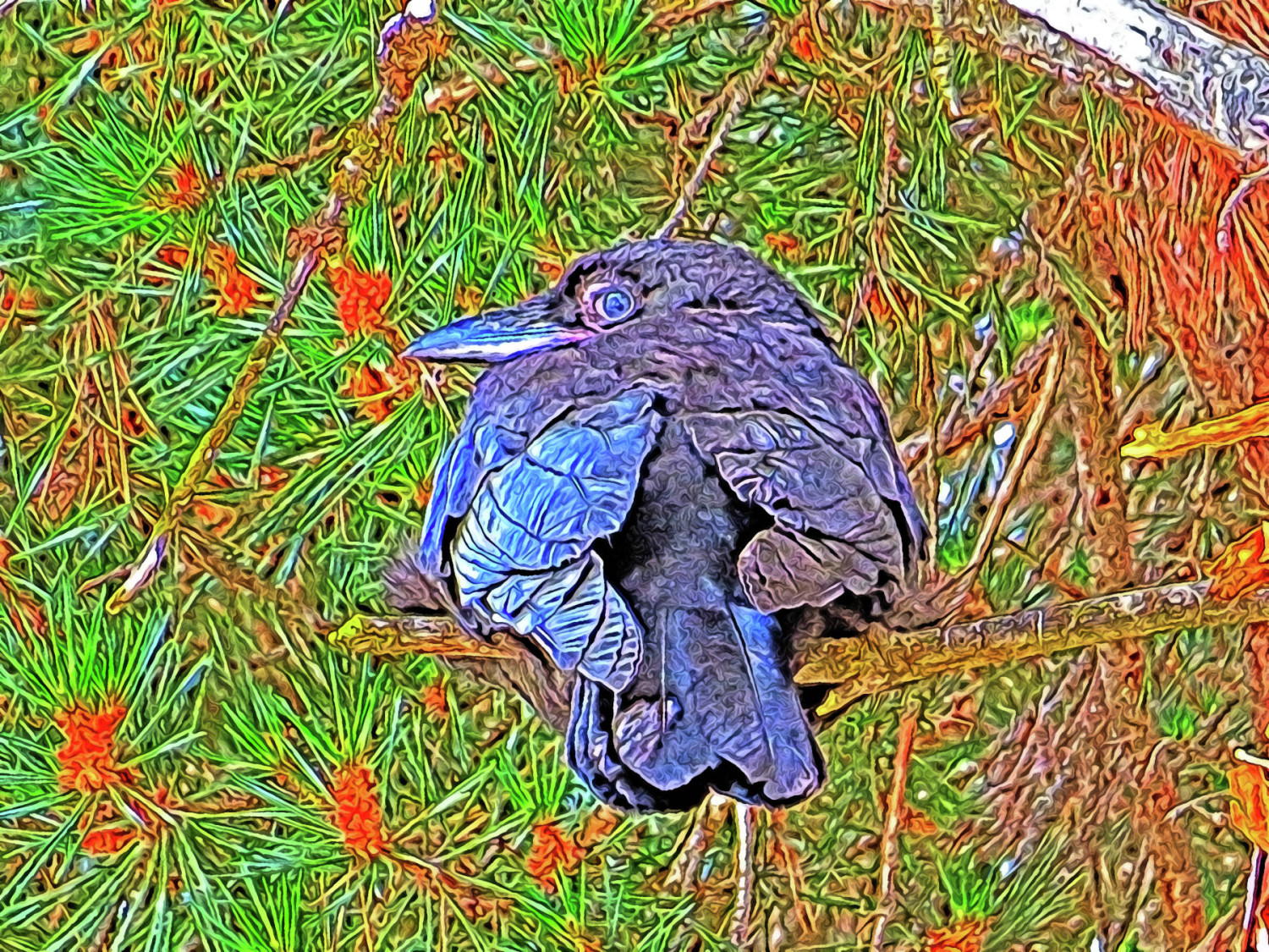 Do you mind? Digital Print