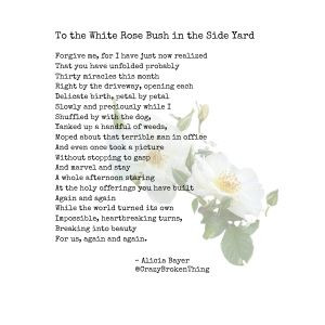 To The White Rosebush (digital print)