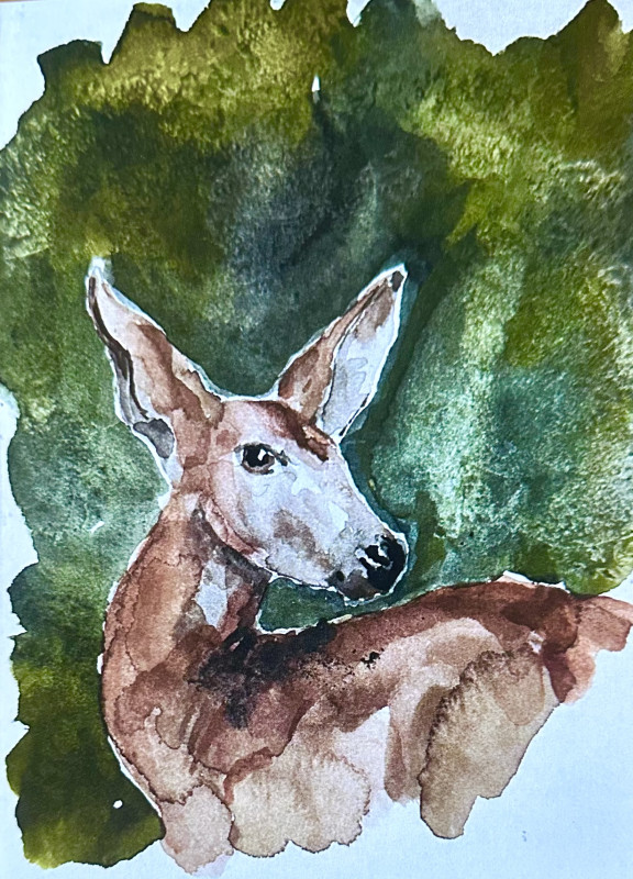 Deer card
