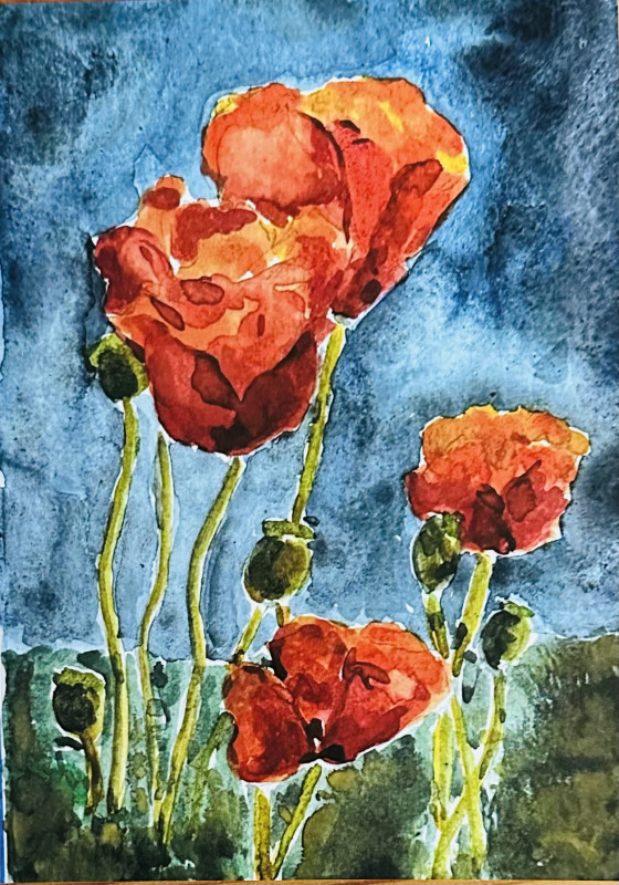 Poppy in a Storm Card