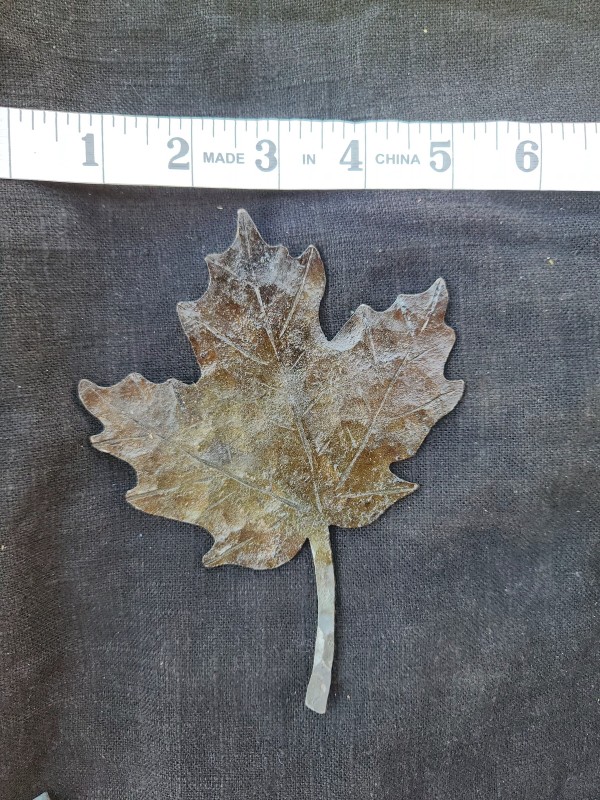Maple Leaf