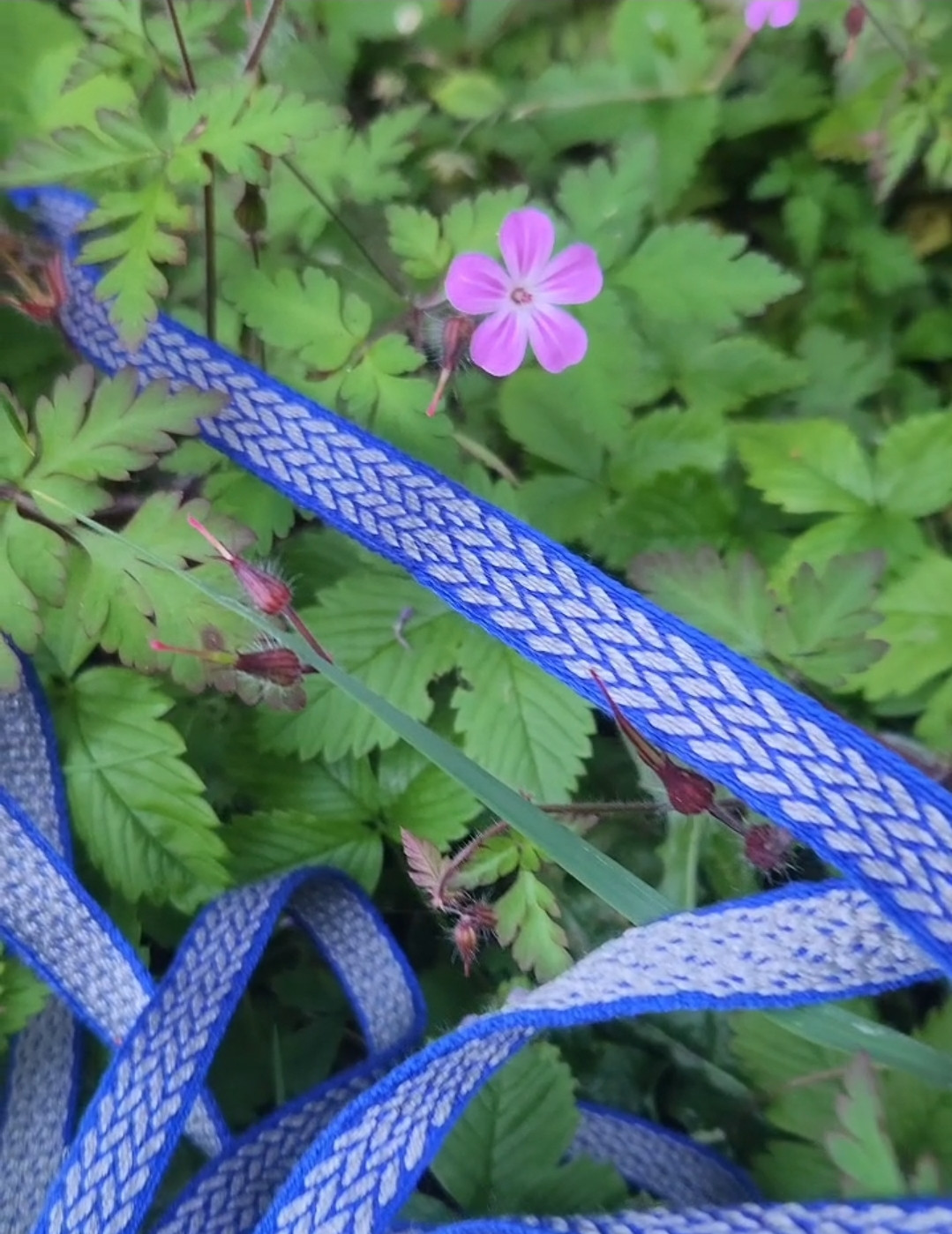 100% Silk Trim in Blue and Silver