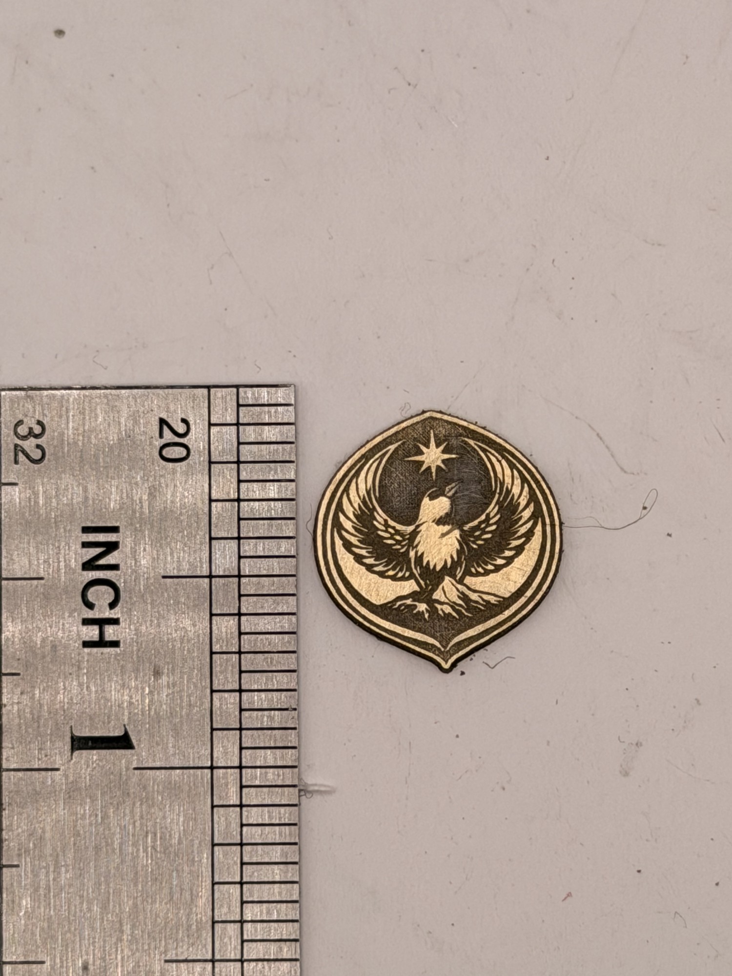 State Bird Resistance Pin