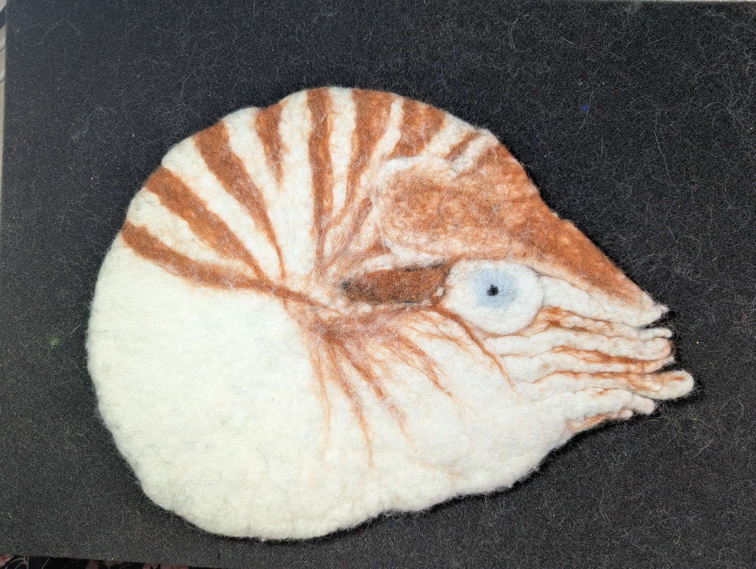 Felted wool Nautilus Hot pad/trivet