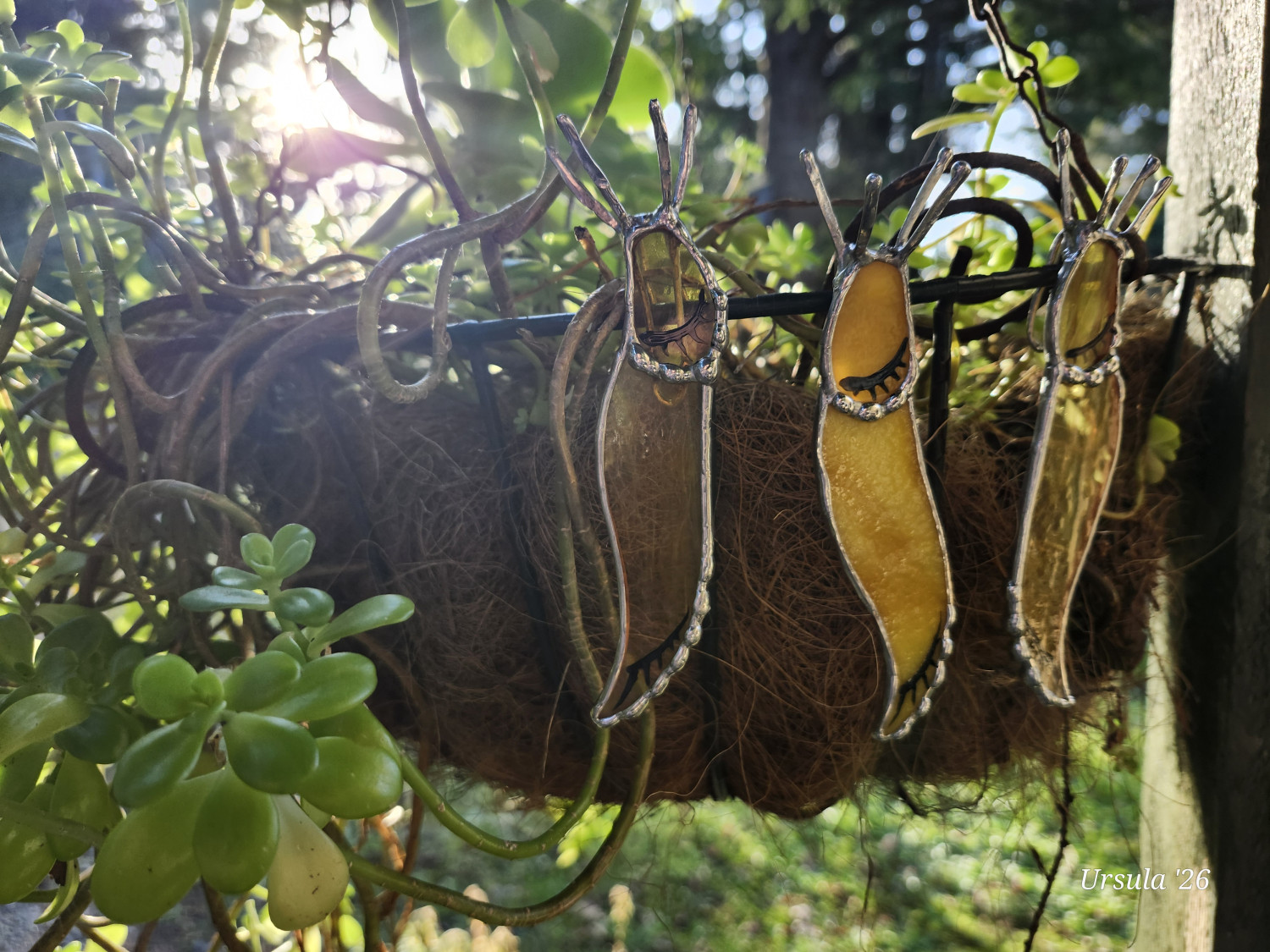 Banana Slug, Stained Glass sun-catcher or plant hanger