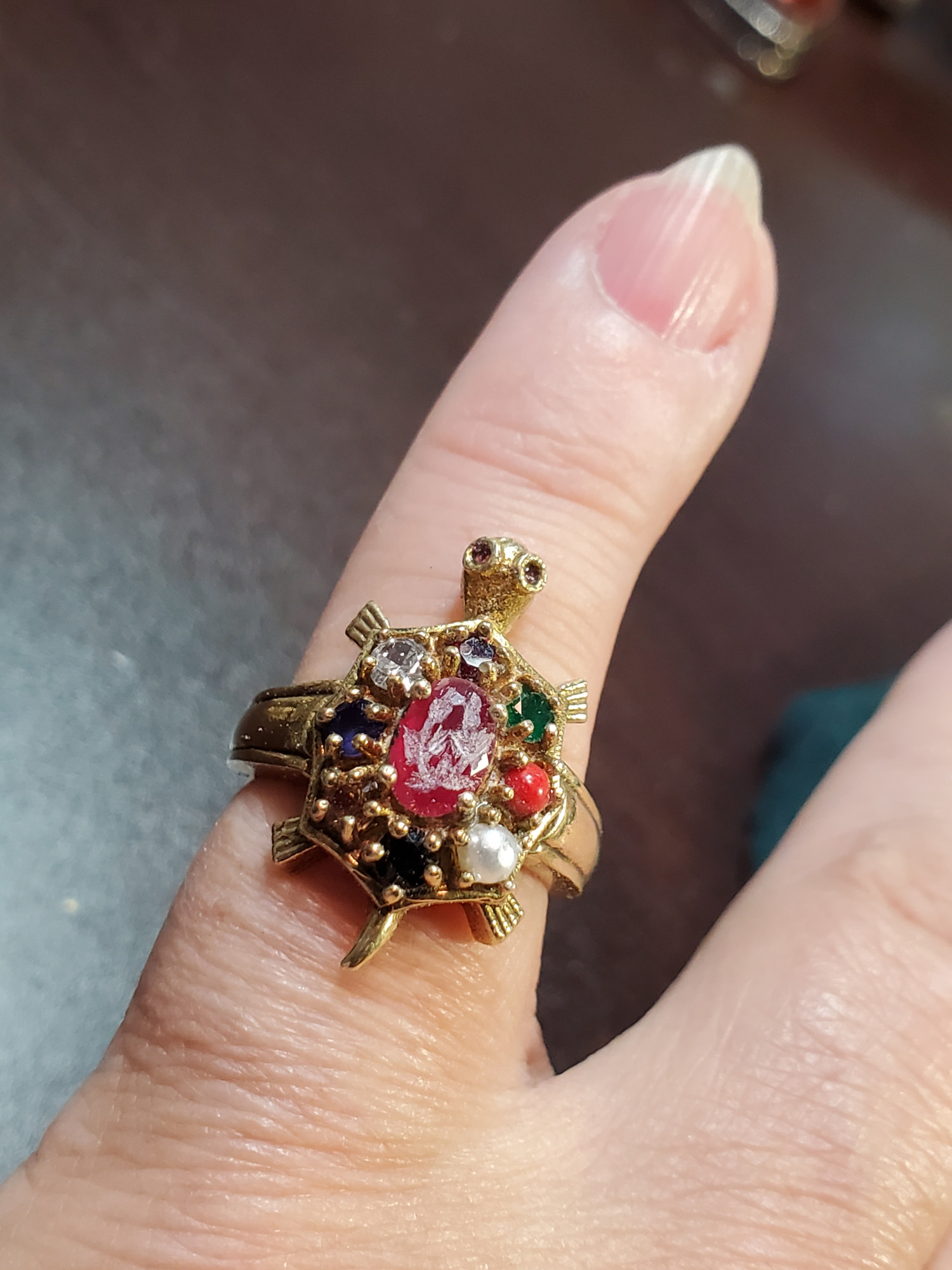 Laurel Turtle Bronze Ring size 6.25