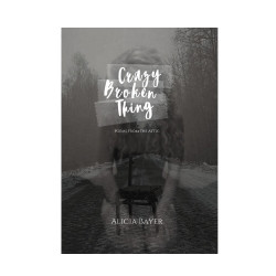 Crazy Broken Thing (Poems from the Attic, Book 1)