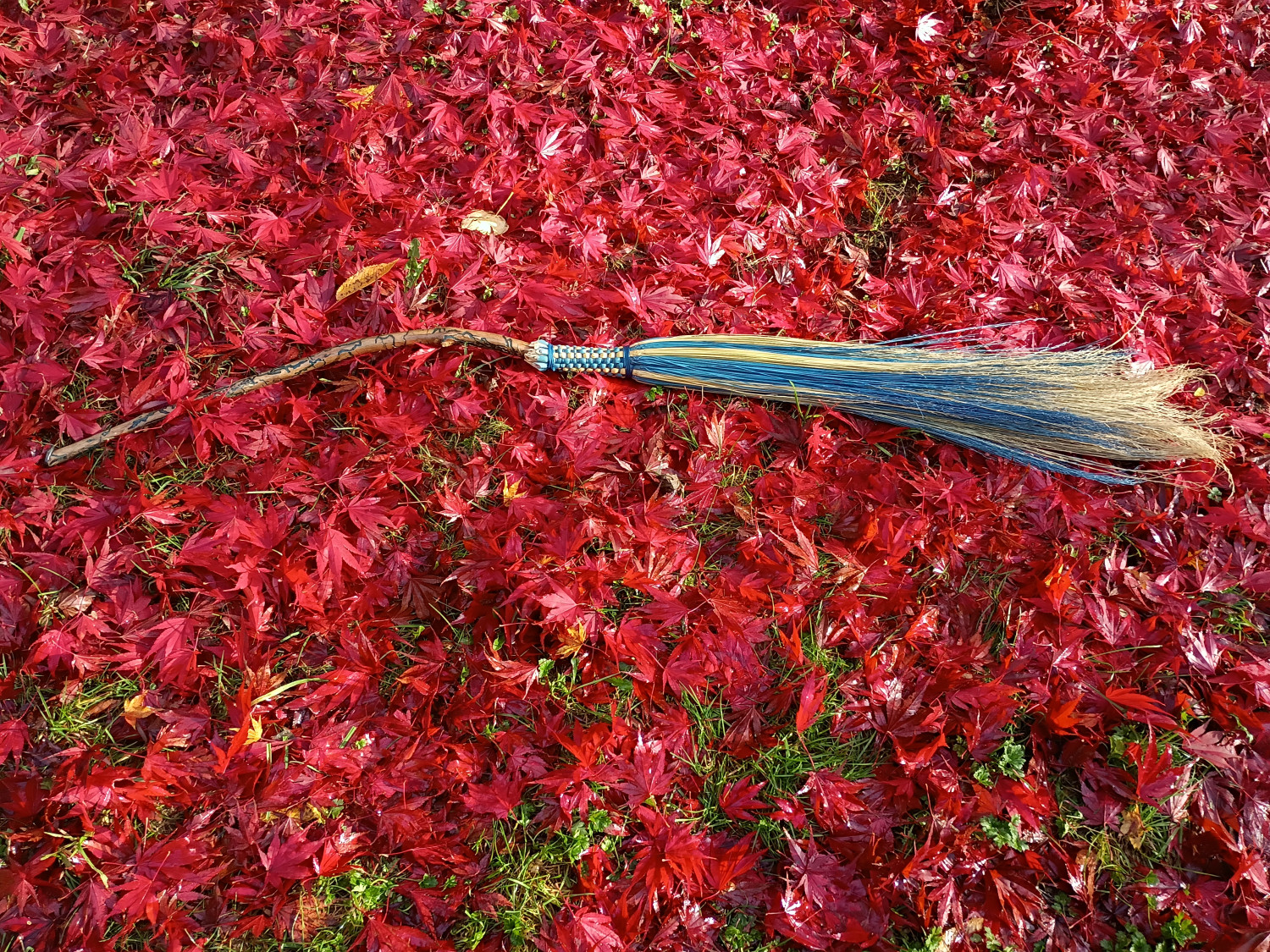 Water Witch Broom - Handcrafted Functional Art