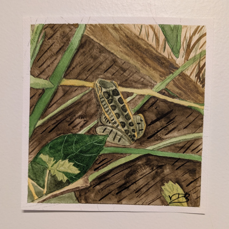 "Smol Frog" Watercolor Painting